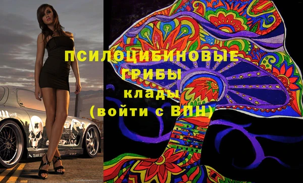 PSILOCYBIN Абаза