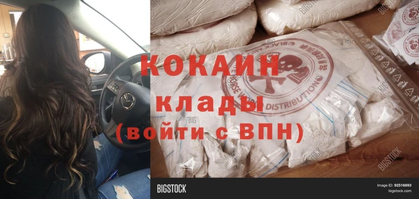 PSILOCYBIN Абаза