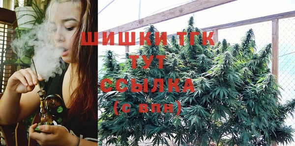 PSILOCYBIN Абаза