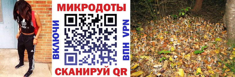 Галлюциногенные грибы мицелий  наркота  Балаково 